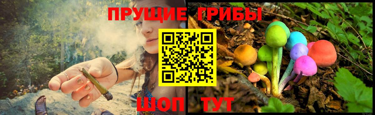 где можно купить   Вход с VPN  Салават  Галлюциногенные грибы Psilocybe  Галлюциногенные грибы Psilocybe 